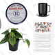 Image for article titled 10 Ways To Brighten Your Desk Because It's Going To Get Dark At Like 4:30 Now